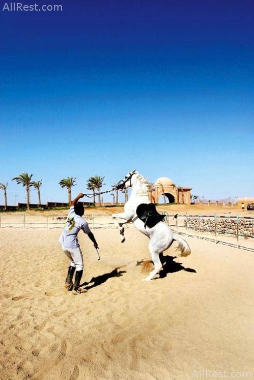 Magic Life Sharm el Sheikh Imperial 22